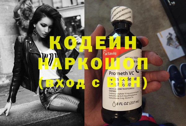 кокс Алексин