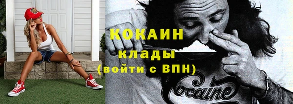 кокс Алексин