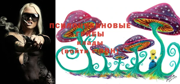 таблы Алексеевка