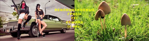 соль курить ск Алзамай